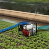 VEVOR Backwash Hose, 1.5 in x 100 ft, Blue High Quality PVC Hose, with Clamps, Camlock, Aluminum Fittings, Fit Various Pumps, Blue - 2 of 4