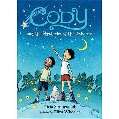 Cody and the Mysteries of the Universe - by  Tricia Springstubb (Paperback)