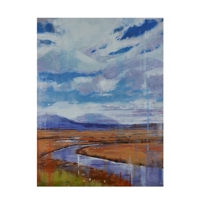 Trademark Fine Art - James Ayers  Meandering Under the Clouds Canvas Art