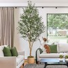 Live Olive Trees Artificial, 7/8Ft Tall Faux Olive Plant with Planter – Fake Tree with Natural Wood Trunk, Realistic Silk Leaves & Lifelike Fruits - 3 of 4