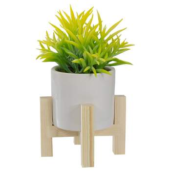 Northlight 8" Potted Green Artificial Succulent with Wooden Stand