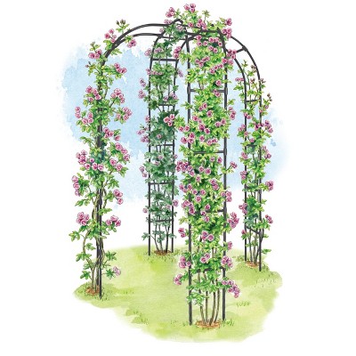 Extra Strong Lightweight Metal Titan Arbor for Climbing Flowers and Vegetables - Gardener's Supply Company