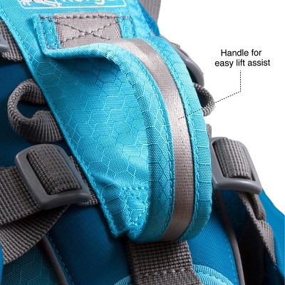 Big Baxter Coastal Blue Dog Backpack with Saddlebag