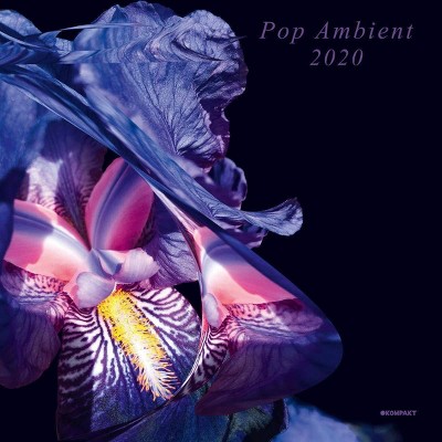 Va - Pop ambient 2020 (CD)