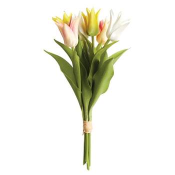 Plum & Post Lily-Flowered Tulip Stems, Bundle Of 6