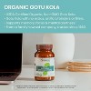 Himalaya Organic Gotu Kola, Herbal Supplement for Energy, Focus, Memory, Non-GMO, USDA Organic, 90 Plant-Based Caplets, 45 Day Supply - 3 of 4