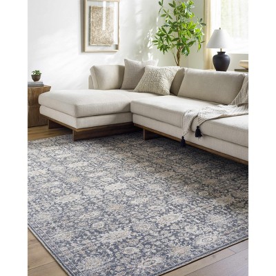Hauteloom Semaj Area Rug