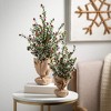 20"H & 16"H Sullivans Artificial Boxwood Berry Christmas Tree Set of 2, Green-Red, Indoor Christmas Decor - 3 of 4