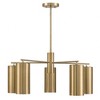 Savoy House Lio 5 - Light Chandelier in  Noble Brass - 2 of 4