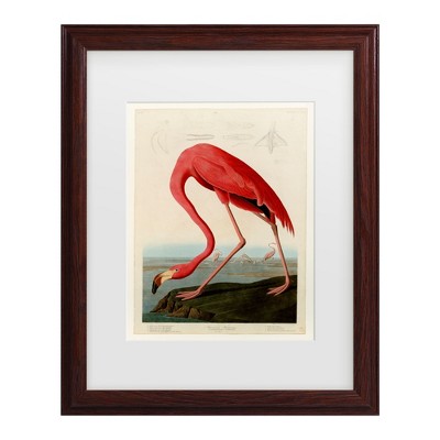 American Flamingo Print on Canvas with Brown Frame