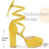 BLISSFUL STEP Women's Faux Suede Lace Up Platform Block Heel Pumps - 3 of 3