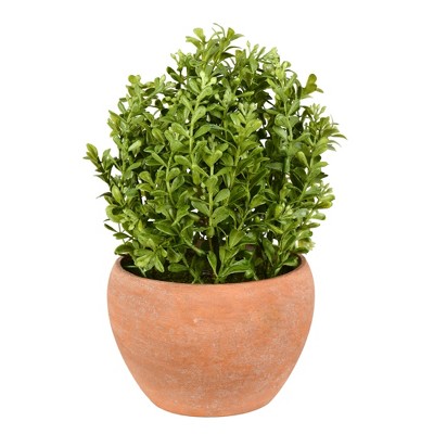 Vickerman Artificial Boxwood Modern Collection