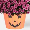 12" Mumkin Plant - Good Little Garden™ - 3 of 4