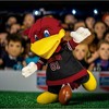 Bleacher Creatures South Carolina Gamecocks Cocky 10" Mascot Plush Figures - image 4 of 4