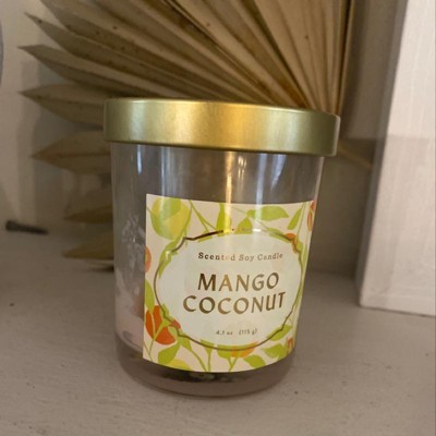 Mango & Coconut Scented Candle, 8oz. Soy Candle, Handmade Coconut Wax  Candle, Cruz Bay Candle — Jameson Ash Candle Co