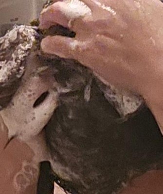 Guest review image 1 of 4, zoom in