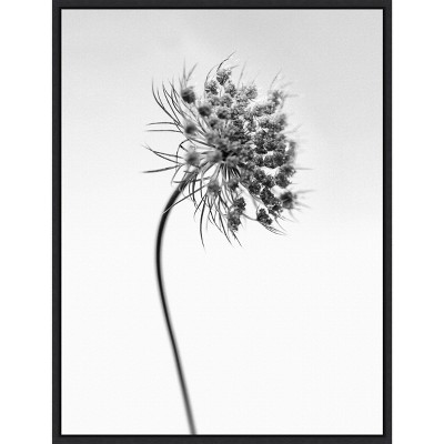 Black and White Botanical Lithograph Canvas Print with Black Frame