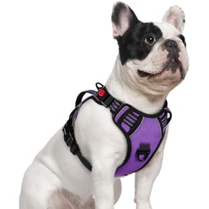 rabbitgoo Dog Harness Small Sized Dog, , Easy Walking Harness with 2 Leash Clips, Purple, S - 1 of 1