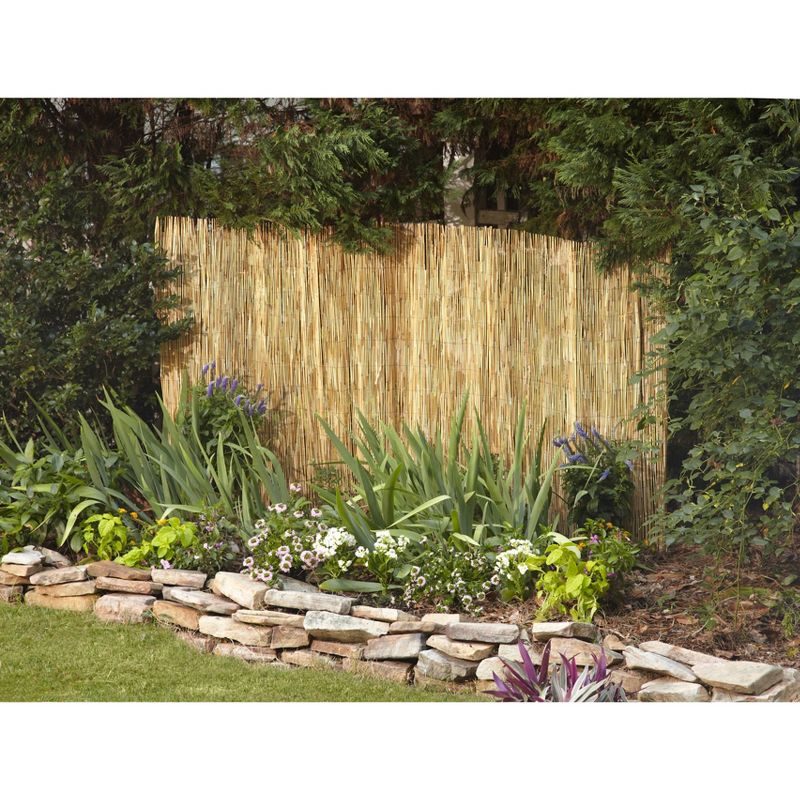 6&#39; x 16&#39;6&#34; Peeled and Polished Reed Garden Fence Natural - Gardenpath, 2 of 4