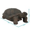 Sunnydaze Indoor/Outdoor Lifelike Large Todd the Tortoise Patio Garden Yard Entryway Decorative Statue - 30" - 3 of 4