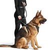 JESPET & GOOPAWS: Hands Free Bungee Dog Leash - Red - Med-Lg Dogs Up To 150lbs - 4 of 4