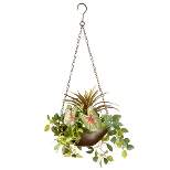 National Tree Company 9" Assorted Greens Hanging Basket