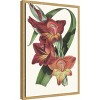 Amanti Art Paxton Tropicals II by Jennifer Paxton Parker Framed Canvas Wall Art - 3 of 4