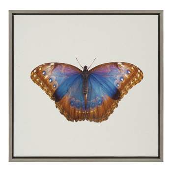 Kate and Laurel Sylvie Coppertop Butterfly Framed Canvas by Robert Cadloff of Bomobob, 22x22, Gray
