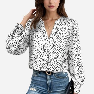 Anna-Kaci Women's Leopard Print Long Sleeve V-Neck Blouse - 1 of 4