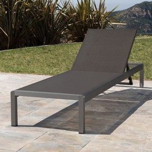 PAGED Lawn Chairs Pool Lounge Chairs Outdoor Adjustable Patio Lounge Chair for Patio, Pool, Beach, Lawn - 1 of 4
