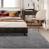 Area Rug Soft Fluffy Shage Area Rug for Living Room Black Shaggy Carpet Faux Fur Washable Rugs - 3 of 4