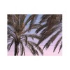 Trademark Fine Art Pictufy Studio III Palm 12 Wood Slat Art - 3 of 4