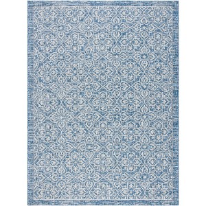 Courtyard CY8766 UV & Stain Resistant Non-Shedding Power Loomed Indoor/Outdoor Rugs - Safavieh - 1 of 4