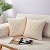 REGALWOVEN Soft Fuzzy Plush Decorative Throw Pillow Covers for Sofa Couch Bed Living Room 2 Pcs - 2 of 4