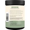 Terra Origin Healthy Gut Powder Mint - 7.83oz - 2 of 4