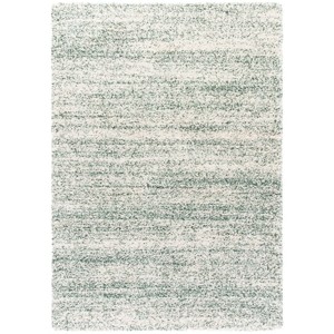 Hudson Shag SGH295 Power Loomed Indoor Rugs - Safavieh - 1 of 4