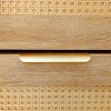 GlasFlength Shoe Racks Rattan Storage Cabinet with Bench and Flip Drawers Simple Design for Entryway Living Space, Beige, 47.2"*9.8"*44.9" - 4 of 4