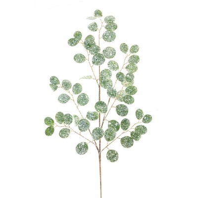 Frosted Silver Dollar Eucalyptus Spray (Set of 12)