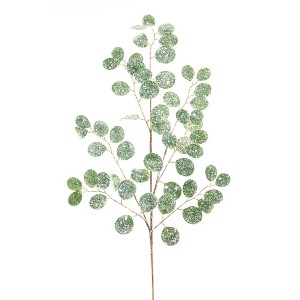 Frosted Silver Dollar Eucalyptus Spray (Set of 12) - 1 of 3