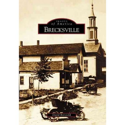 Brecksville - by David Borsvold (Paperback)