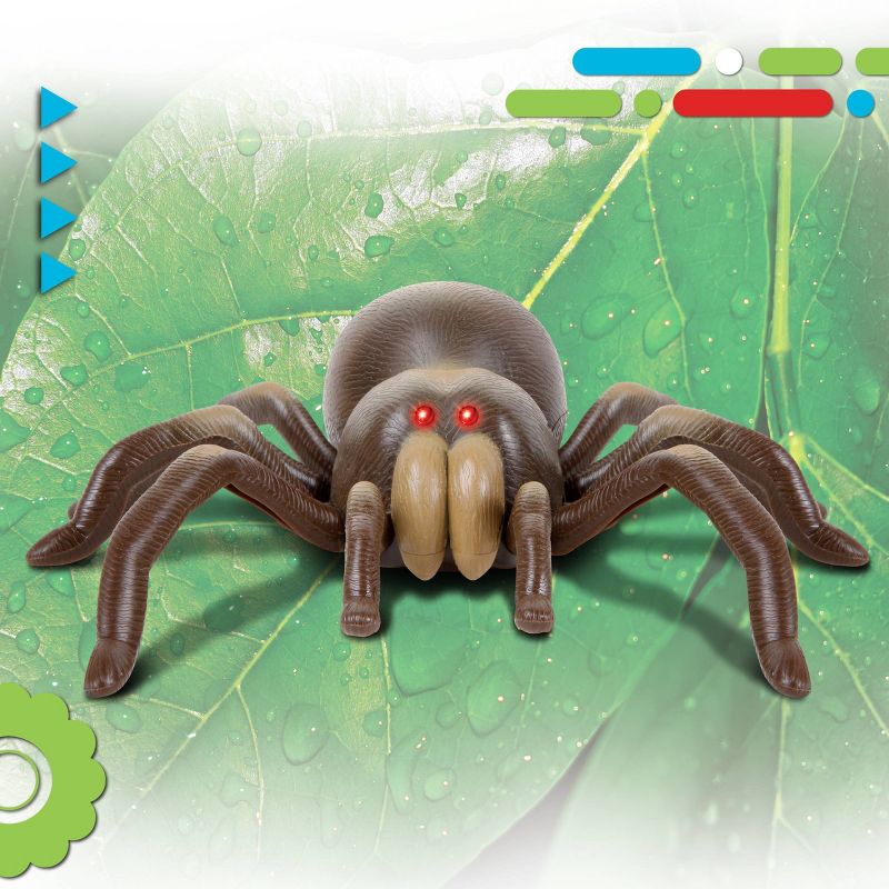 Discovery Kids LED Infrared Controlled (RC) Tarantula Spider, 3 of 12