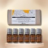 Davines Naturaltech Nourishing Hair Royal Jelly Superactive (8ml x 6) - Nourishing & Hydrating Mineralizing Lotion for Dry Scalp - 2 of 2