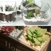 GASPRO 2.5 Pound Pebbles for Indoor Plants, 3/8" Decorative White Rocks for Vases, Planters, Succulents, Bamboo, Highly Polished and Smooth Surface - 2 of 4