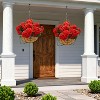Artificial Hanging Geraniums Flowers 2-Pack, UV Resistant Outdoor Hanging Plants with Brown Baskets,Fake Flowers for Porch Patio Garden Decor - 3 of 4