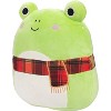 Squishmallows Frog Plush with Scarf - Green - Shop Plush Toys at H-E-B