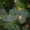 6.5' Prelit Balsam Artificial Christmas Tree Multicolor Lights - National Tree Company - 4 of 4