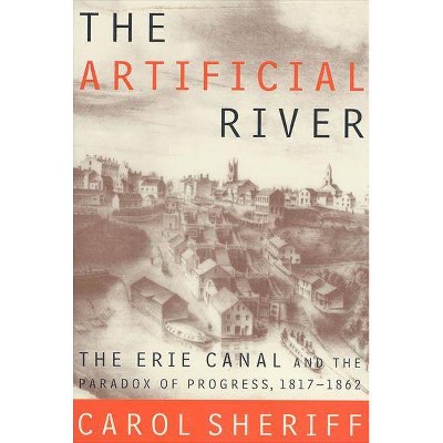 The Artificial River - by  Carol Sheriff (Paperback)