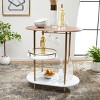 Iva 3 Tier Swivel Bar Table - BCT8007 - Safavieh - 2 of 4