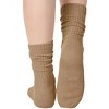 Khaki Slouch Socks the Sock Panda (Women's Sizes, Adult Medium) - Midweight - 3 of 3