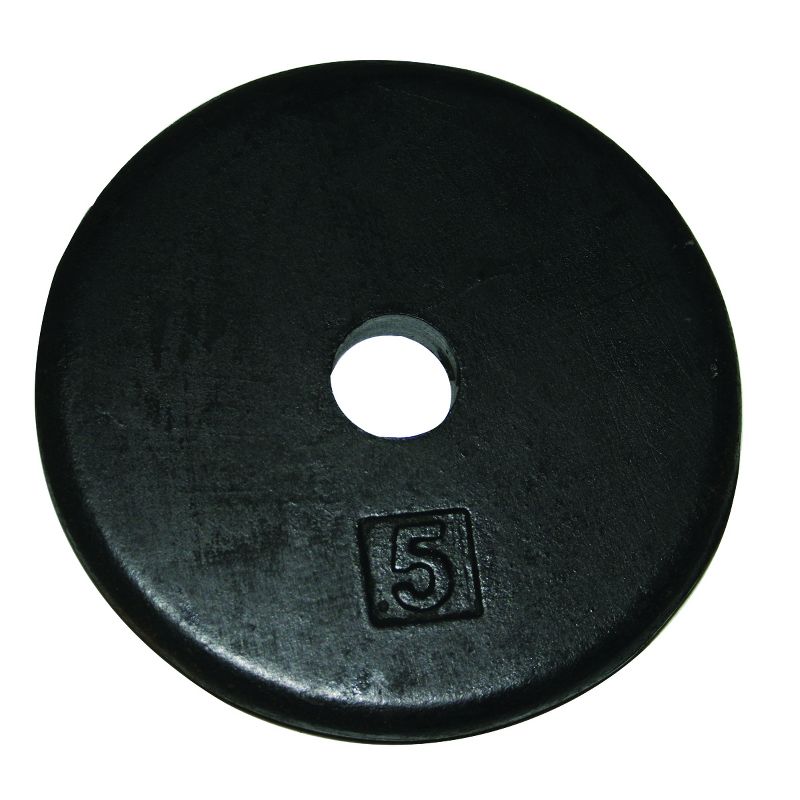 Iron Disc Weight Plate, 1 of 2